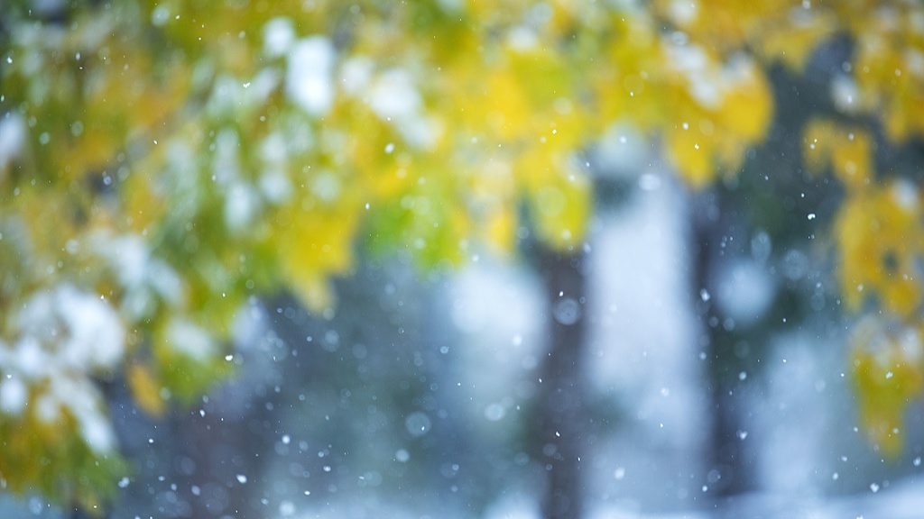 小雪节气：传统习俗与诗意寒冬