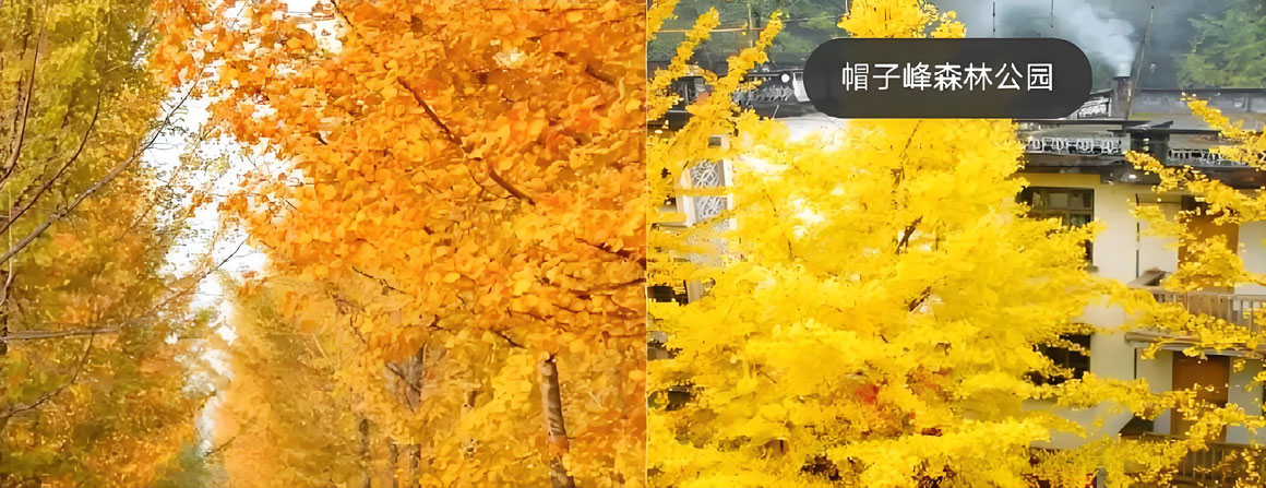 韶关旅游攻略1.jpg 韶关旅游攻略1.jpg