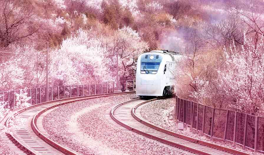 “重启人生”也可以从一次旅行开始