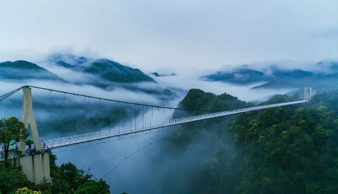 三百山发现多种珍稀野生动物