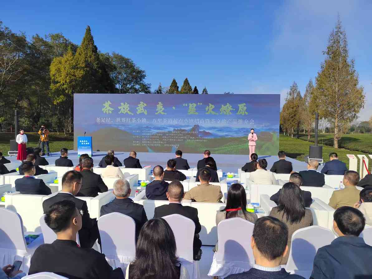 福建武夷山开展茶文旅产品推介和项目招商