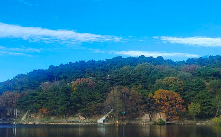 淄博城市旅行隐藏玩法大揭秘：连本地人都不知道的10个小众景点..