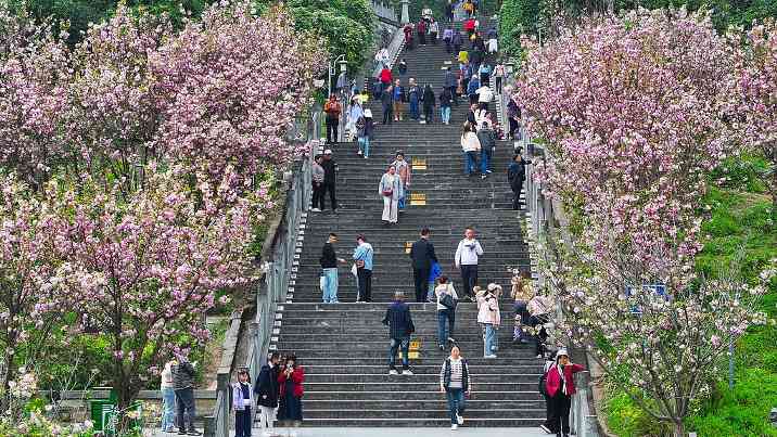 文旅消费升级带动“春游热”