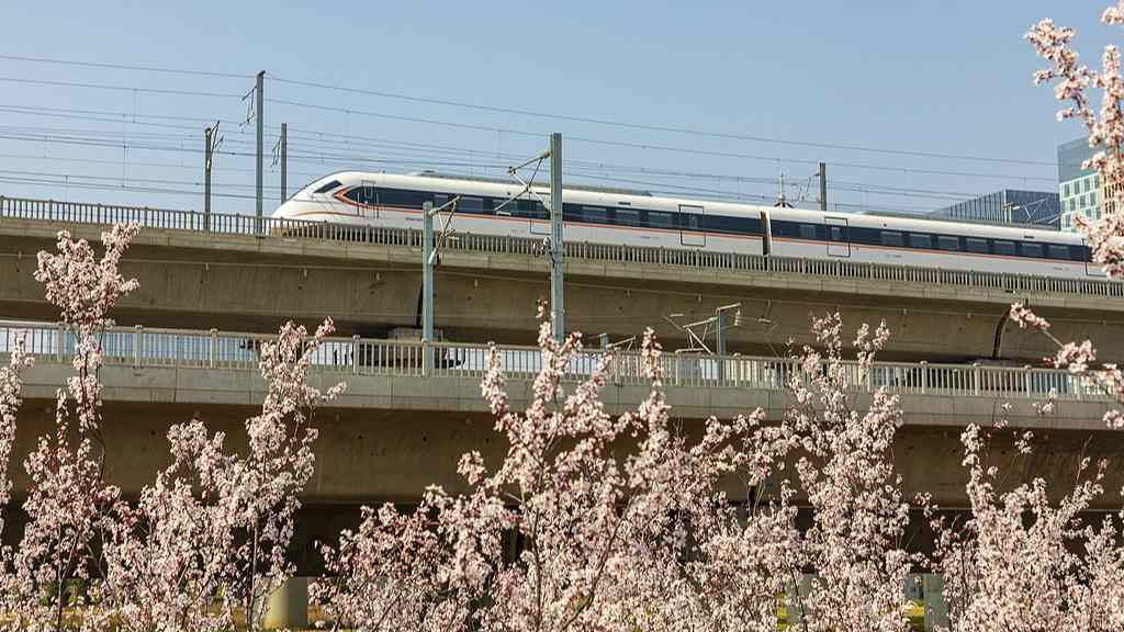 赏花经济：文旅融合下的产业升级新图景