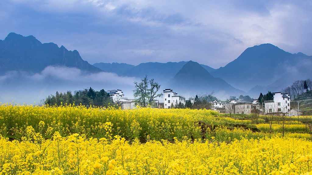 春季旅游高峰来袭：错峰出行与户外安全出行指南