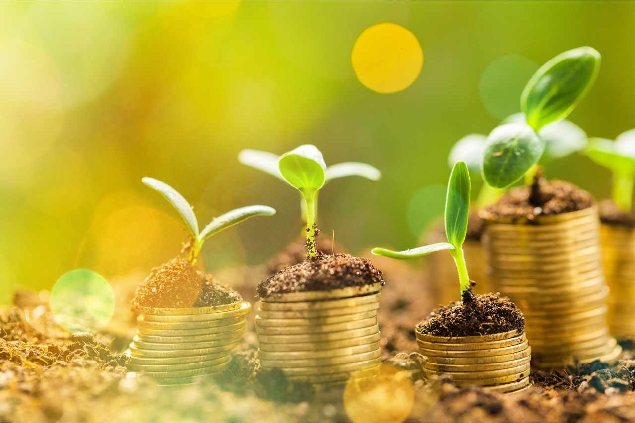 旅游行业投融资趋势剖析与2026年投资逻辑转变