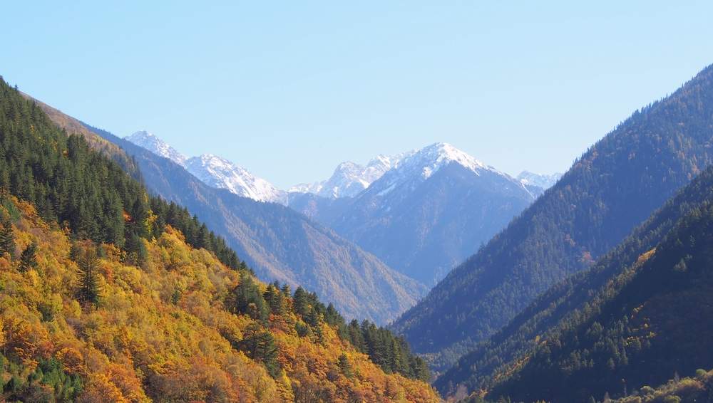 长江边千年李庄，在古镇记忆中照见历史与当下