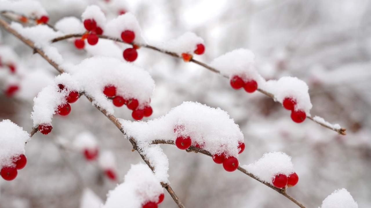 大寒文化习俗与季节智慧的生活哲学意义