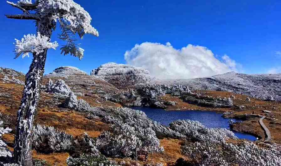 轿子雪山四季风光，领略滇中高原自然之美