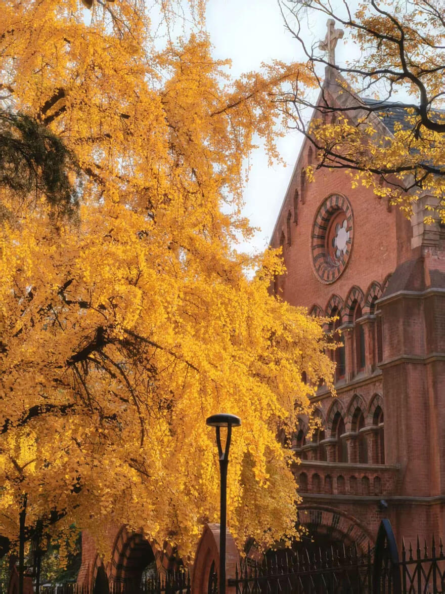 11月份上海法租界旧址 · 梧桐深处的秋日私语.jpg