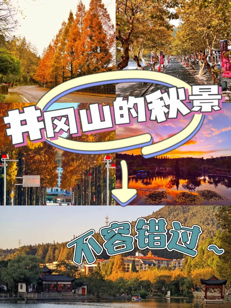 11月份江西井冈山.jpg