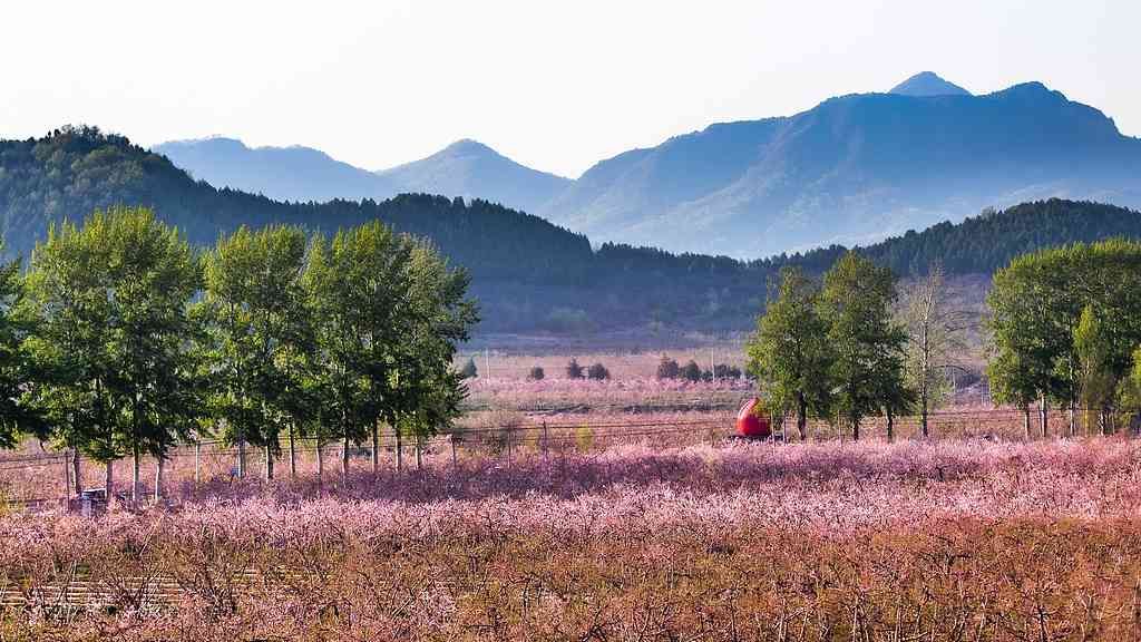 青年艺术家深入乡村用艺术唤醒传统文化助力乡村振兴