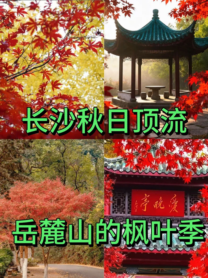 11月份湖南长沙·岳麓山.jpg