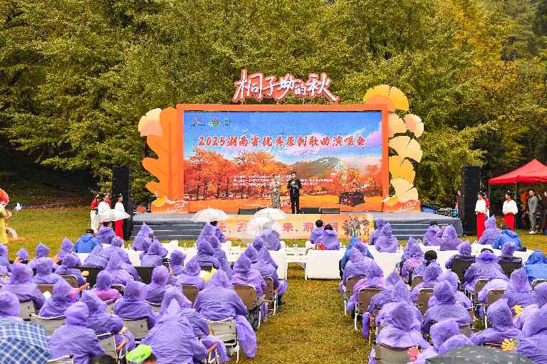 湖南原创歌曲演唱会点亮桐子坳秋日银杏美景