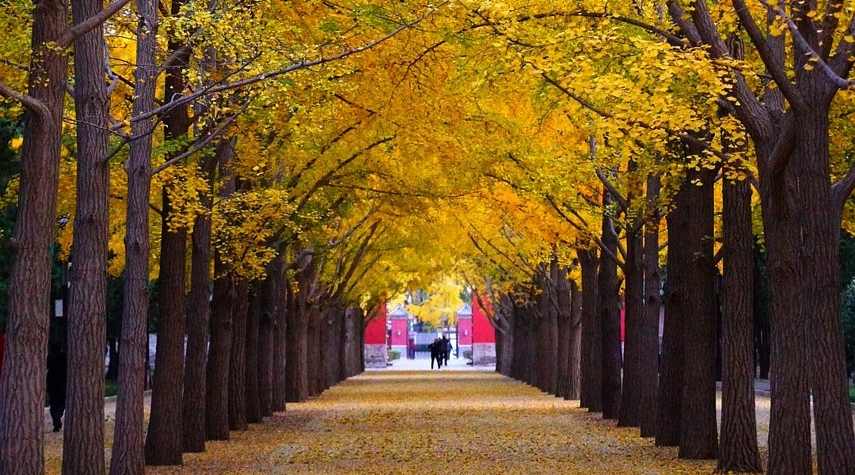 林白水故居寻访：报人风骨与白话报业先驱的人生轨迹