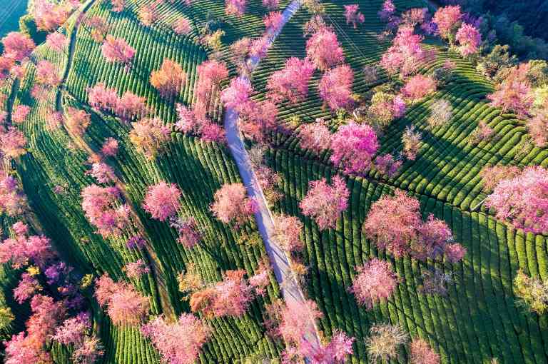 立春时节万物复苏，传统文化中的春耕与咬春习俗