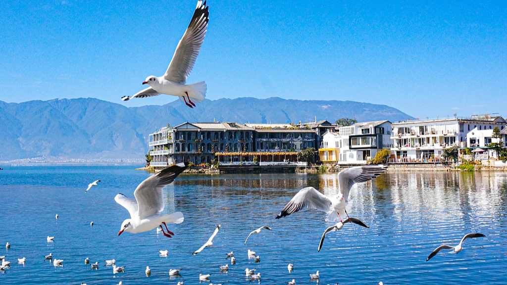 云南旅居人数突破320万 游客接待量超11亿人次促产业升级