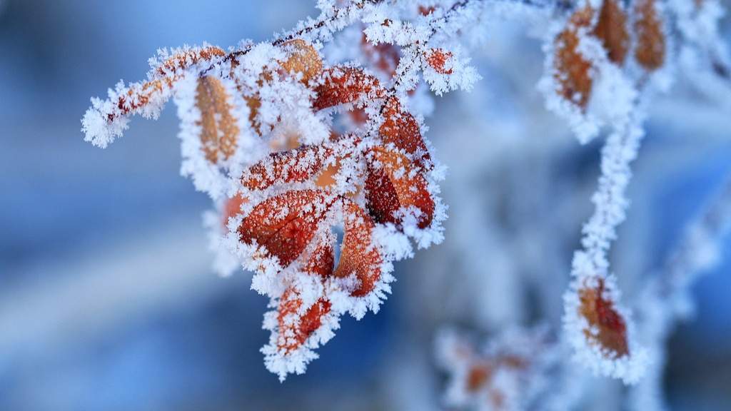 立冬节气的汉字文化内涵与传统习俗解读