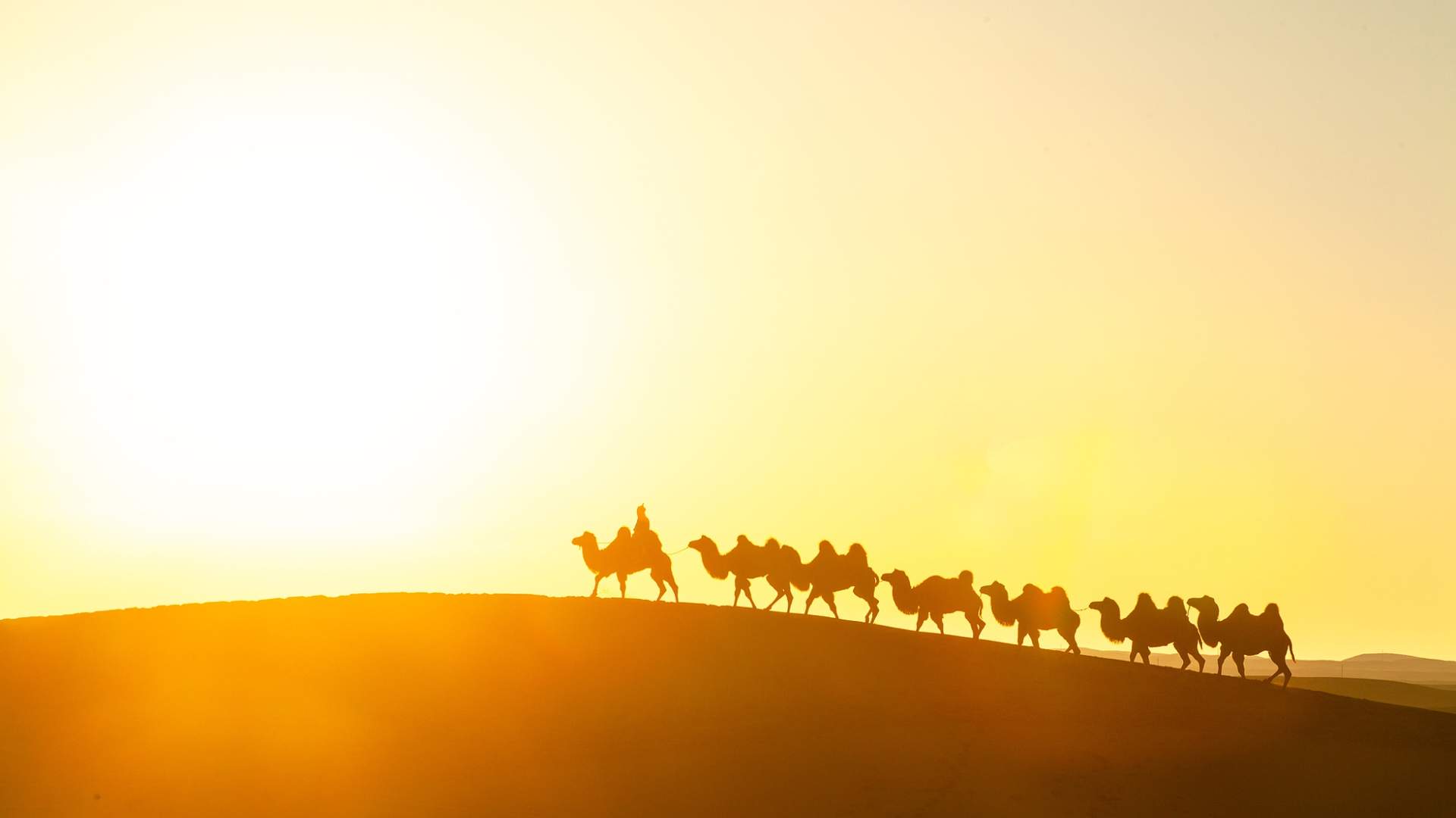 丝绸之路旅游城市联盟国际旅行商大会聚焦文旅合作共赢
