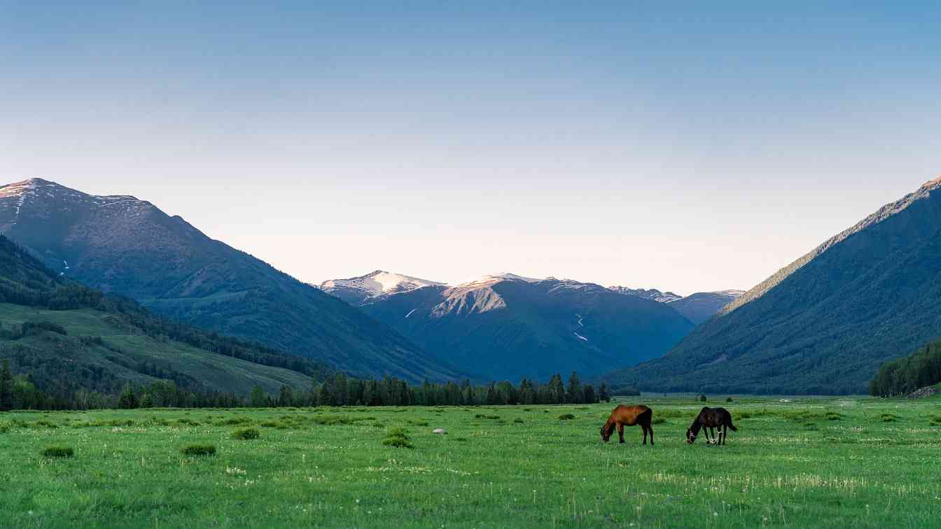 阿勒泰秋季自驾游火爆 阿禾公路串联千里旅游画廊