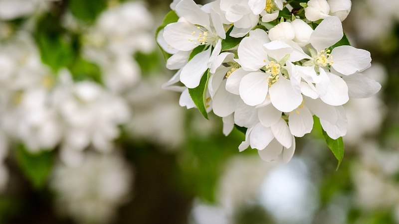 微度假成五一旅游新趋势 城市周边游带动消费热潮