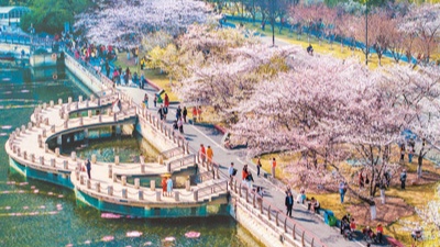 春日经济崛起：赏花游带动文旅市场焕发新活力