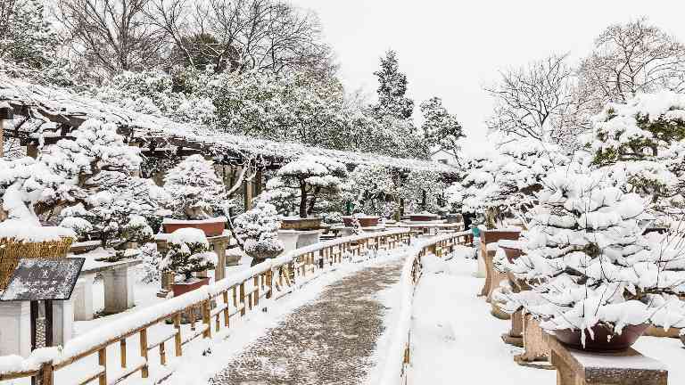 冬季文旅消费新模式：冰雪温泉文化融合激发市场活力
