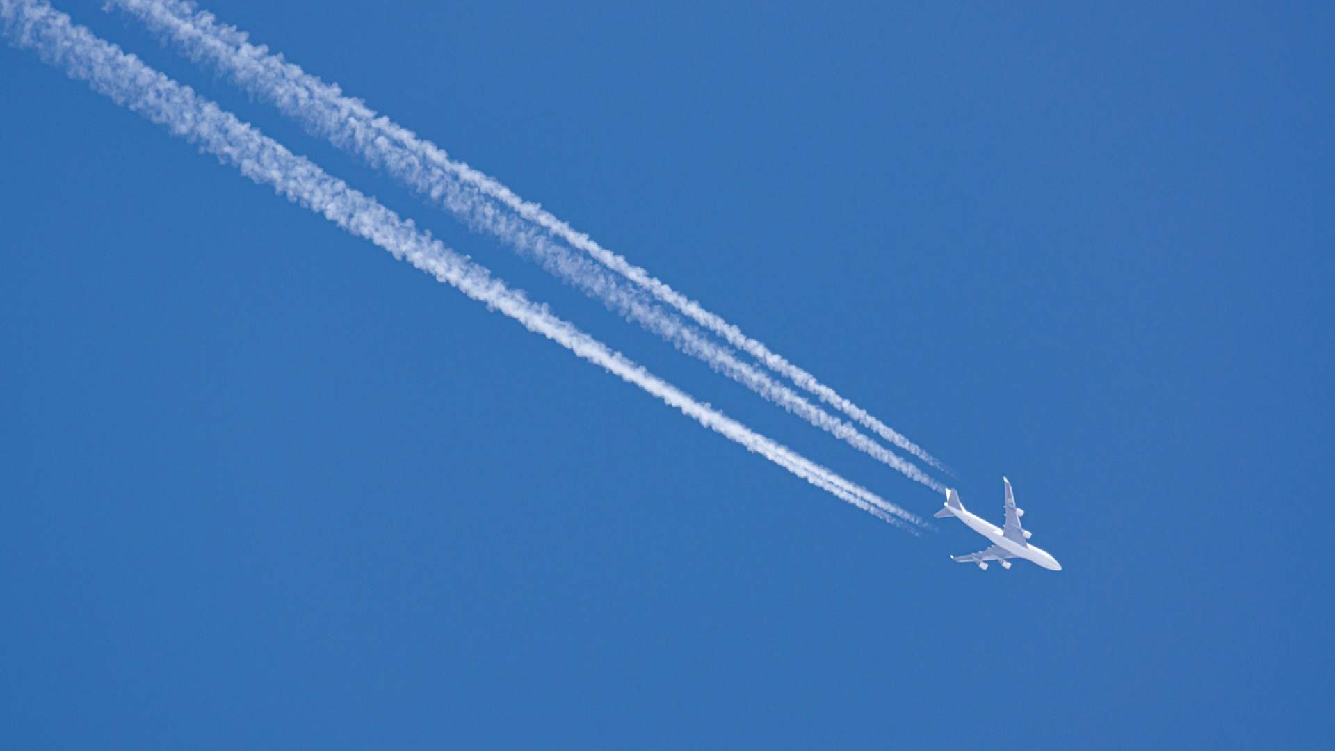 航空公司密集加码国际航线抢滩春运市场