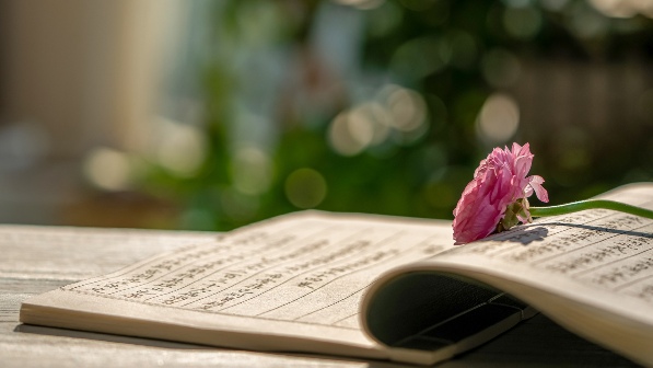 中华文化出海如何突破浅层化困局实现价值传播转型