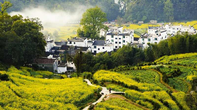 乡村游迎来新玩法 乡土味与慢生活成吸睛法宝