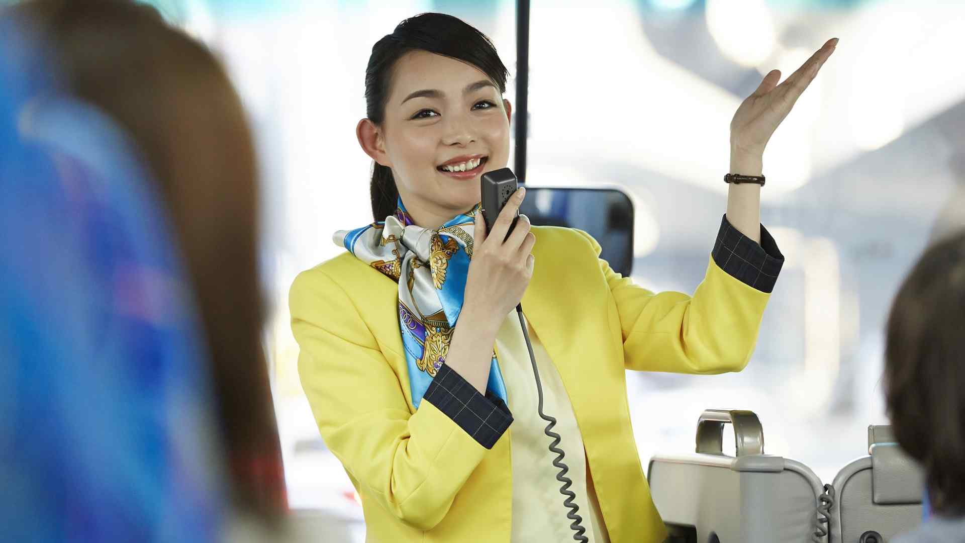 2025新版导游证启用：颜色分级功能升级