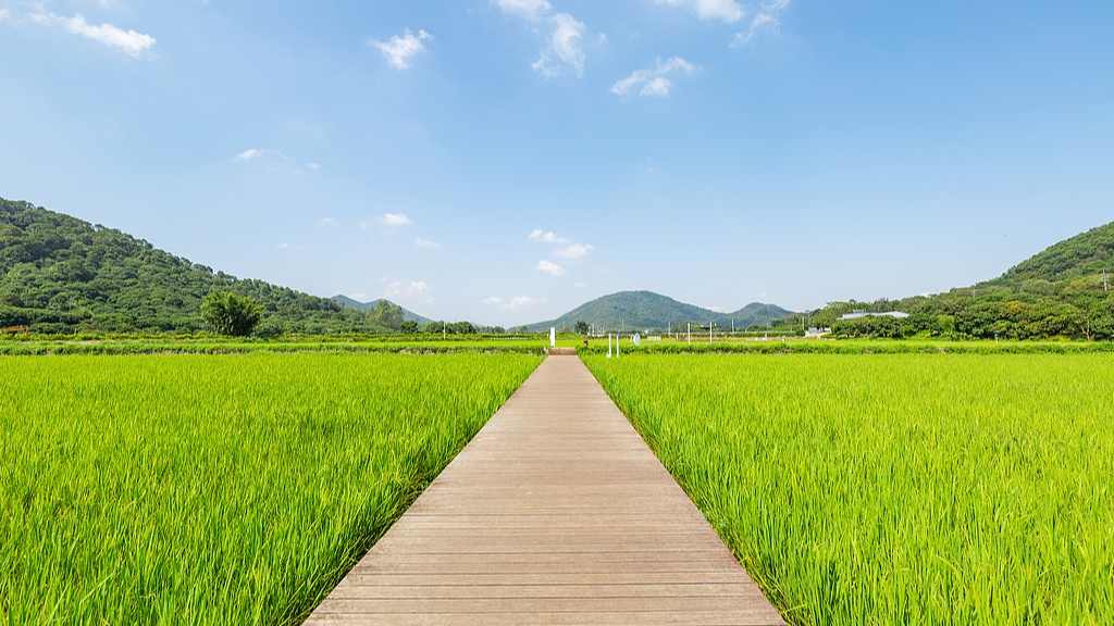 重识家乡旅游热潮兴起 深度探索文化情感新体验
