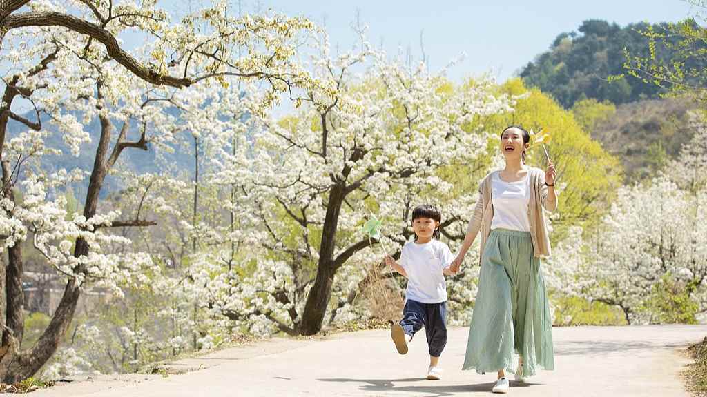 2025全国赏樱地图出炉 十大胜地最佳观赏期及玩法详解
