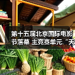 第十五届北京国际电影节落幕 主竞赛单元“天坛奖”十项大奖揭晓（图3）