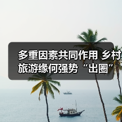 多重因素共同作用 乡村旅游缘何强势“出圈”（图2）