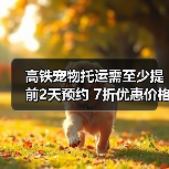 高铁宠物托运需至少提前2天预约 7折优惠价格（图3）