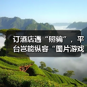 订酒店遇“照骗”，平台岂能纵容“图片游戏”（图4）