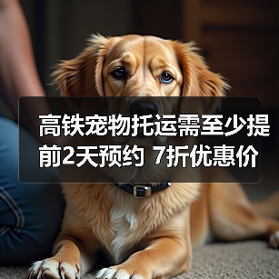 京沪高铁宠物托运服务启动：流程、条件与费用详解