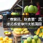 “春赏花、秋食果”沉浸式感受神州大地满园春色和澎湃活力（图1）