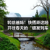 转给爸妈！快搭乘这趟开往春天的“银发列车”（图4）