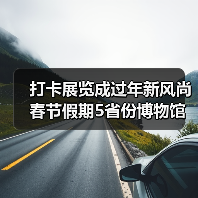 打卡展览成过年新风尚 春节假期5省份博物馆接待游客超500万人次（图4）