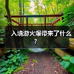 入境游火爆带来了什么？（图1）