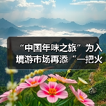 “中国年味之旅”为入境游市场再添“一把火”（图1）