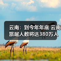 云南：到今年年底 云南旅居人数将达380万人（图1）