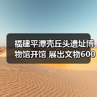 福建平潭壳丘头遗址博物馆开馆 展出文物600多件（图3）
