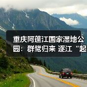 重庆阿蓬江国家湿地公园：群鹭归来 逐江“起舞”（图3）
