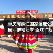 重庆阿蓬江国家湿地公园：群鹭归来 逐江“起舞”（图2）