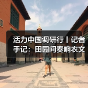 活力中国调研行丨记者手记：田园间奏响农文旅交响曲（图3）