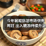 暑期出行复苏催生文旅消费热潮