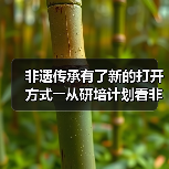 非遗传承人如何借力研培计划实现技艺革新